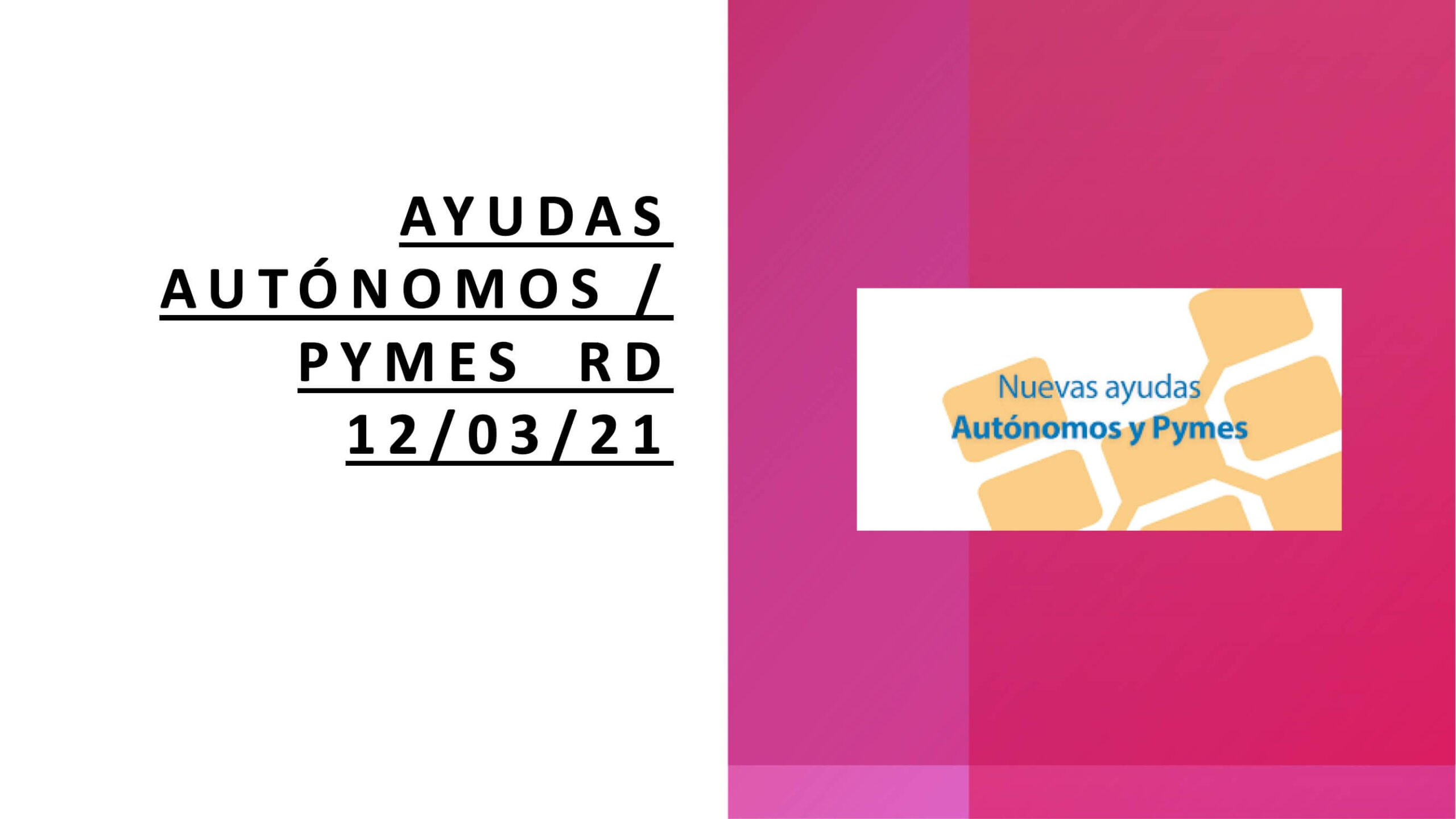 Ayudas Pymes Autonomos-1