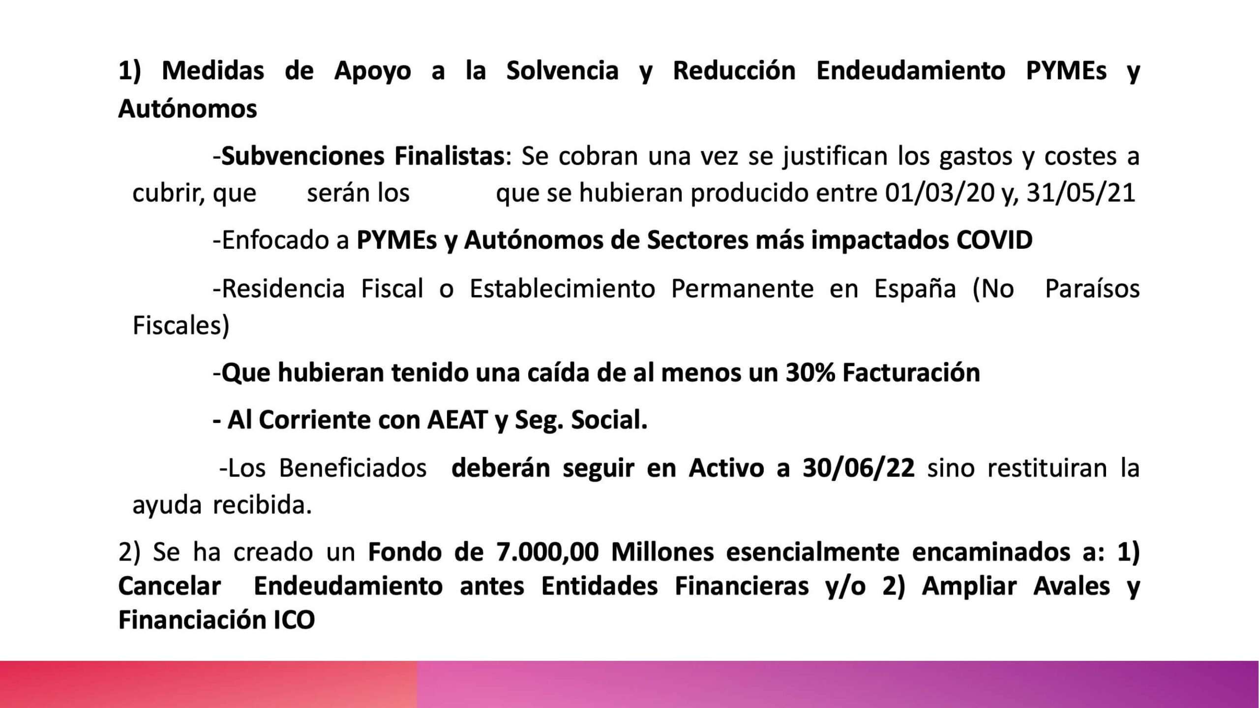 Ayudas Pymes Autonomos-2